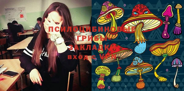 шишки Абаза