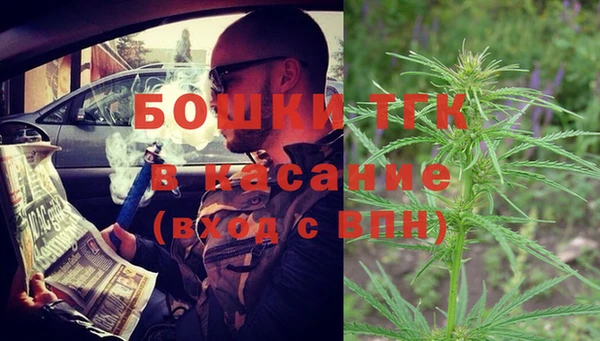 шишки Абаза