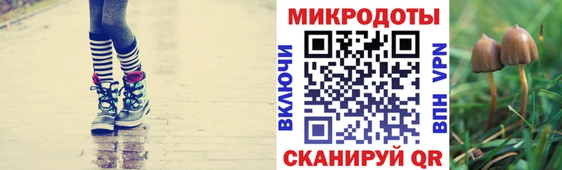Галлюциногенные грибы мицелий  Красноуфимск 